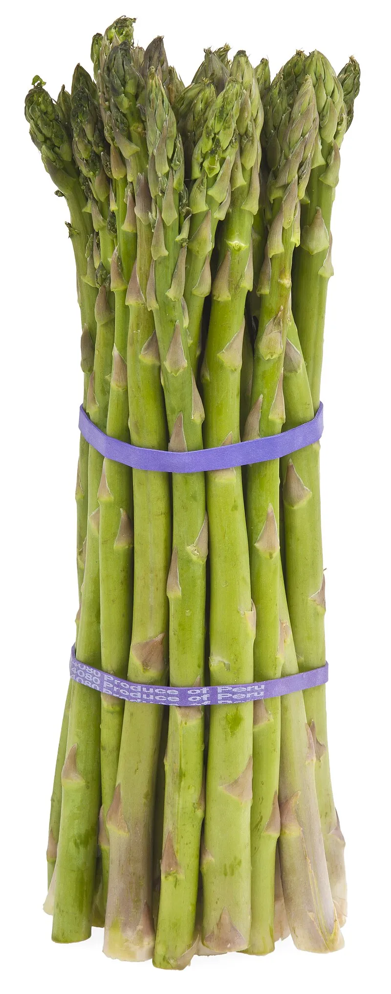 Asparagus plant