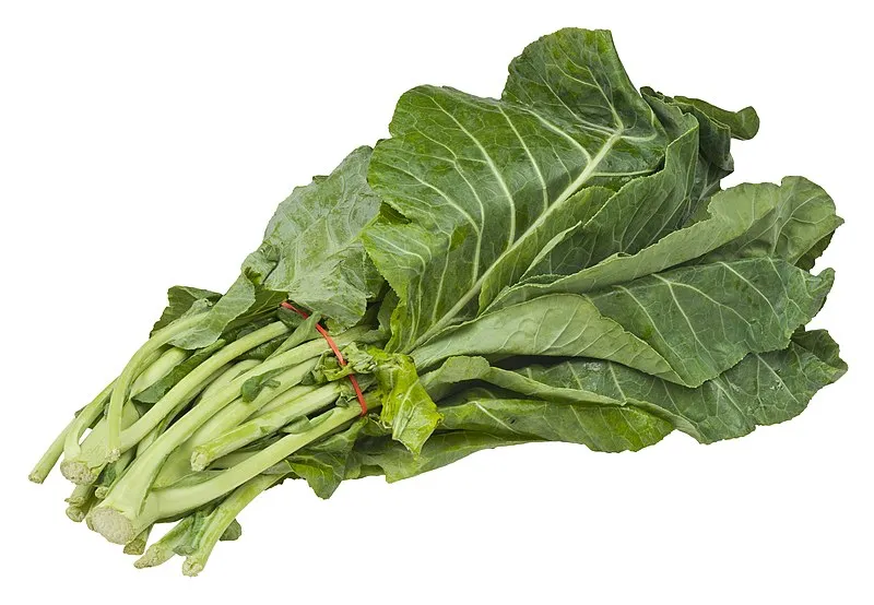 Collard Greens plant