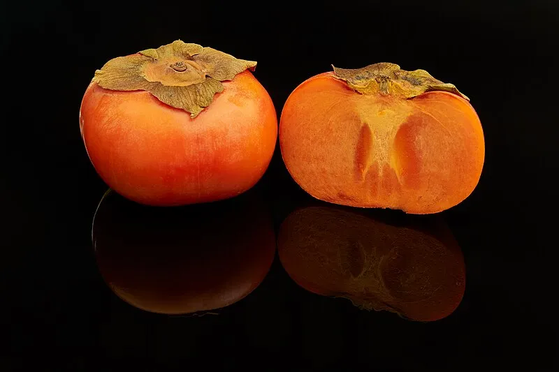 Persimmon plant
